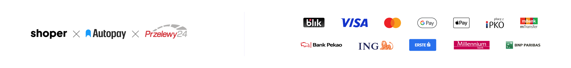 baner informujący o opcjach płatności